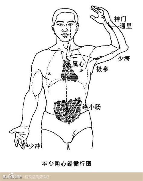 少陰意思|三、經絡命名的原由